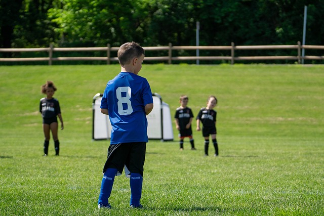 他以稳定的 他以稳定的