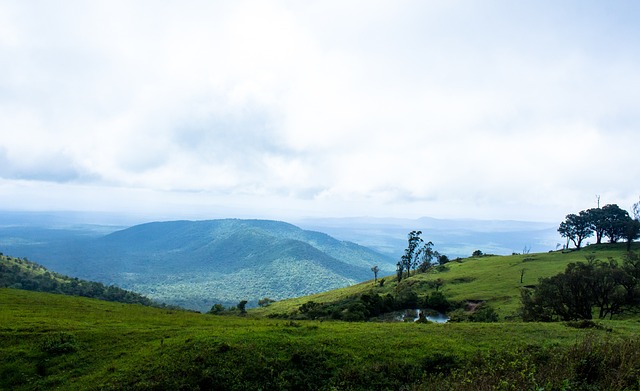 对未来的比 对未来的比