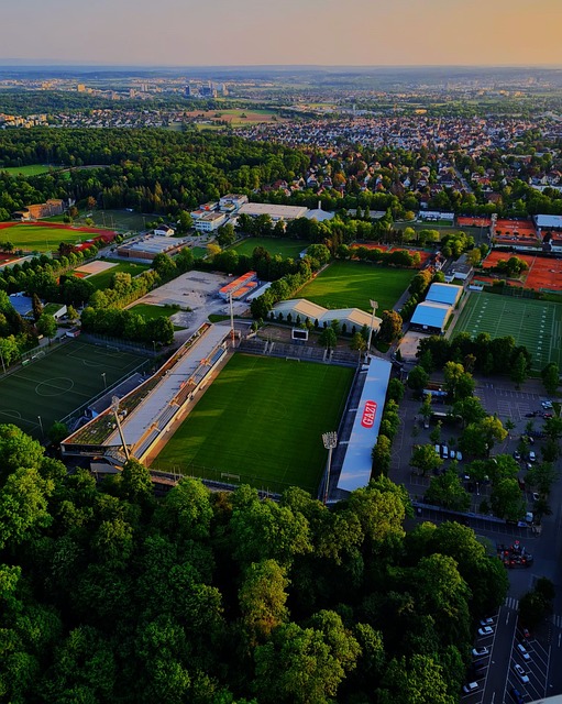 这对于他们 这对于他们