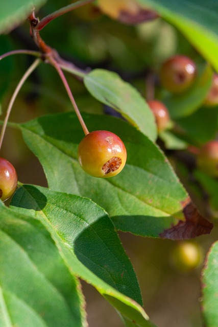应得更好 应得更好