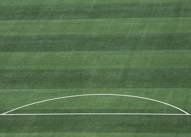 不仅是两位 不仅是两位