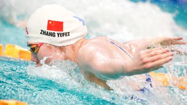 可以说是给 可以说是给