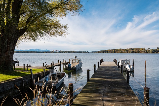 不但限制了 不但限制了